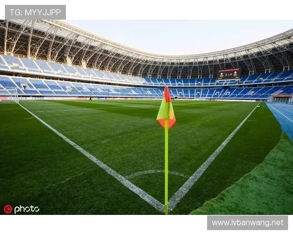 世界杯预选赛阶段各队主场的草坪质量报告